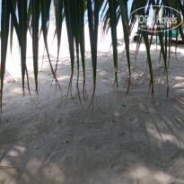 фото из отзыва ID 2746234