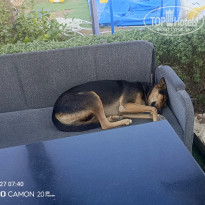 фото из отзыва ID 2746262