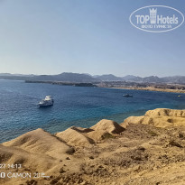 фото из отзыва ID 2746262