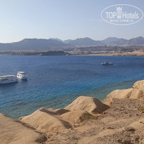 фото из отзыва ID 2746262