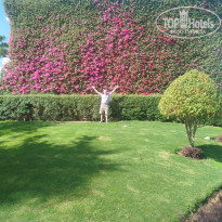 фото из отзыва ID 2746290