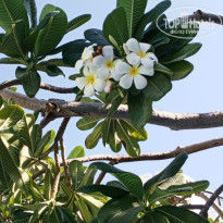 фото из отзыва ID 2746107