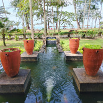 фото из отзыва ID 2746311