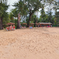 фото из отзыва ID 2746311