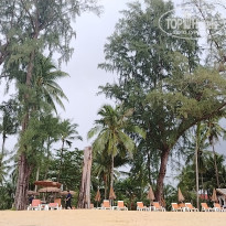 фото из отзыва ID 2746311