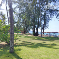 фото из отзыва ID 2746311