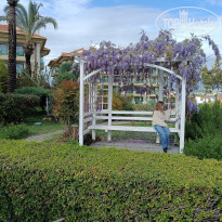 фото из отзыва ID 2746323