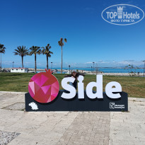 фото из отзыва ID 2746323