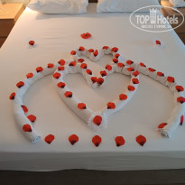 фото из отзыва ID 2746323