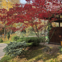 фото из отзыва ID 2746194