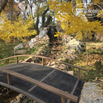 фото из отзыва ID 2746194