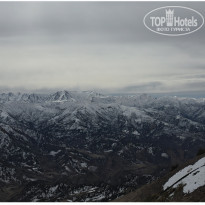 фото из отзыва ID 2746194