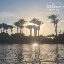 фото из отзыва ID 2746366