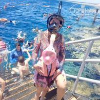 фото из отзыва ID 2746386