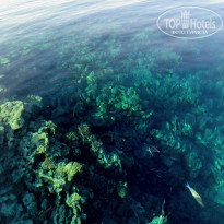 фото из отзыва ID 2746386