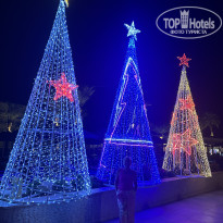 фото из отзыва ID 2746412