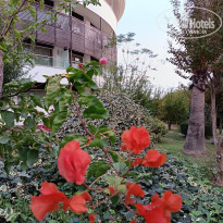 фото из отзыва ID 2746418