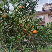 фото из отзыва ID 2746418