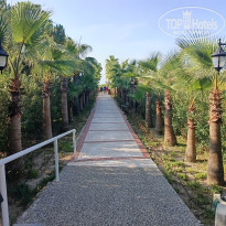 фото из отзыва ID 2746418