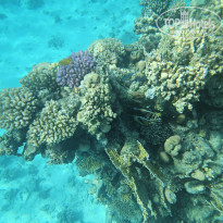 фото из отзыва ID 2746445