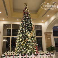 фото из отзыва ID 2746445