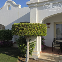 фото из отзыва ID 2746445