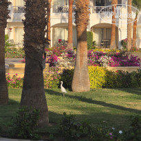 фото из отзыва ID 2746445