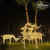 фото из отзыва ID 2746445