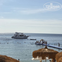 фото из отзыва ID 2746445