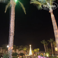 фото из отзыва ID 2746445