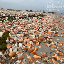 фото из отзыва ID 2746451