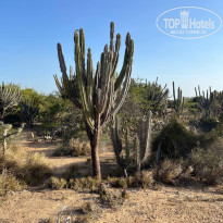 фото из отзыва ID 2746458