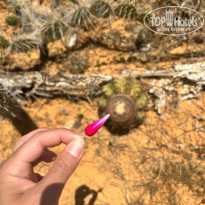 фото из отзыва ID 2746458