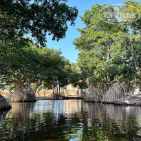 фото из отзыва ID 2746458