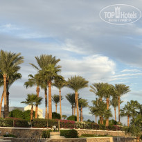 фото из отзыва ID 2746477