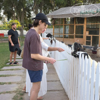 фото из отзыва ID 2746490