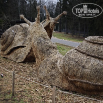 фото из отзыва ID 2746493