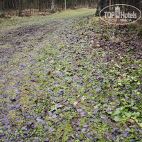 фото из отзыва ID 2746493