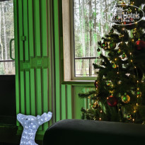 фото из отзыва ID 2746493