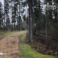 фото из отзыва ID 2746493