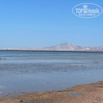 фото из отзыва ID 2746505