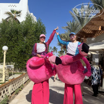 фото из отзыва ID 2746546