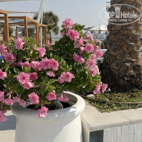 фото из отзыва ID 2746555