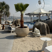 фото из отзыва ID 2746555