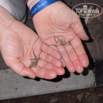 фото из отзыва ID 2746567