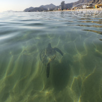 фото из отзыва ID 2746567