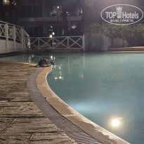 фото из отзыва ID 2746567