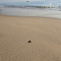 фото из отзыва ID 2746567