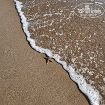 фото из отзыва ID 2746567