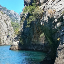 фото из отзыва ID 2746579